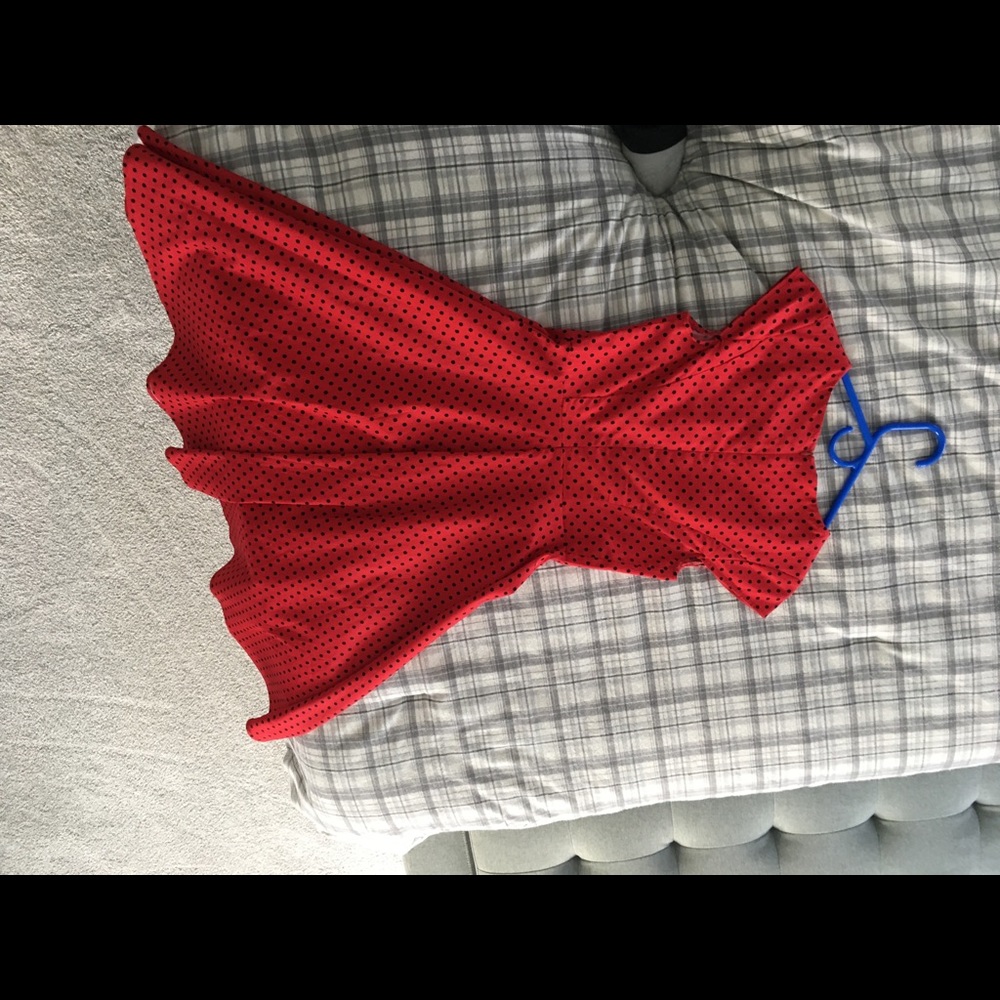 Vintage fit and flair dress